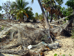 スリランカ　スリランカ北部ジャフナ県の海岸沿いの村。20年以上続いた内戦が激しかった地域。ここでは、ようやく平和を実感し始めた人びとが津波に襲われた。